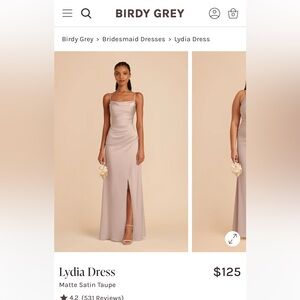 Birdy Grey Taupe Matte Satin dress